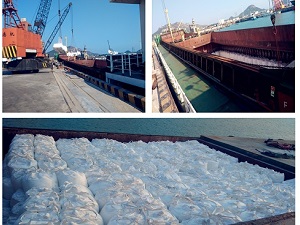 bulk cargo Shipping